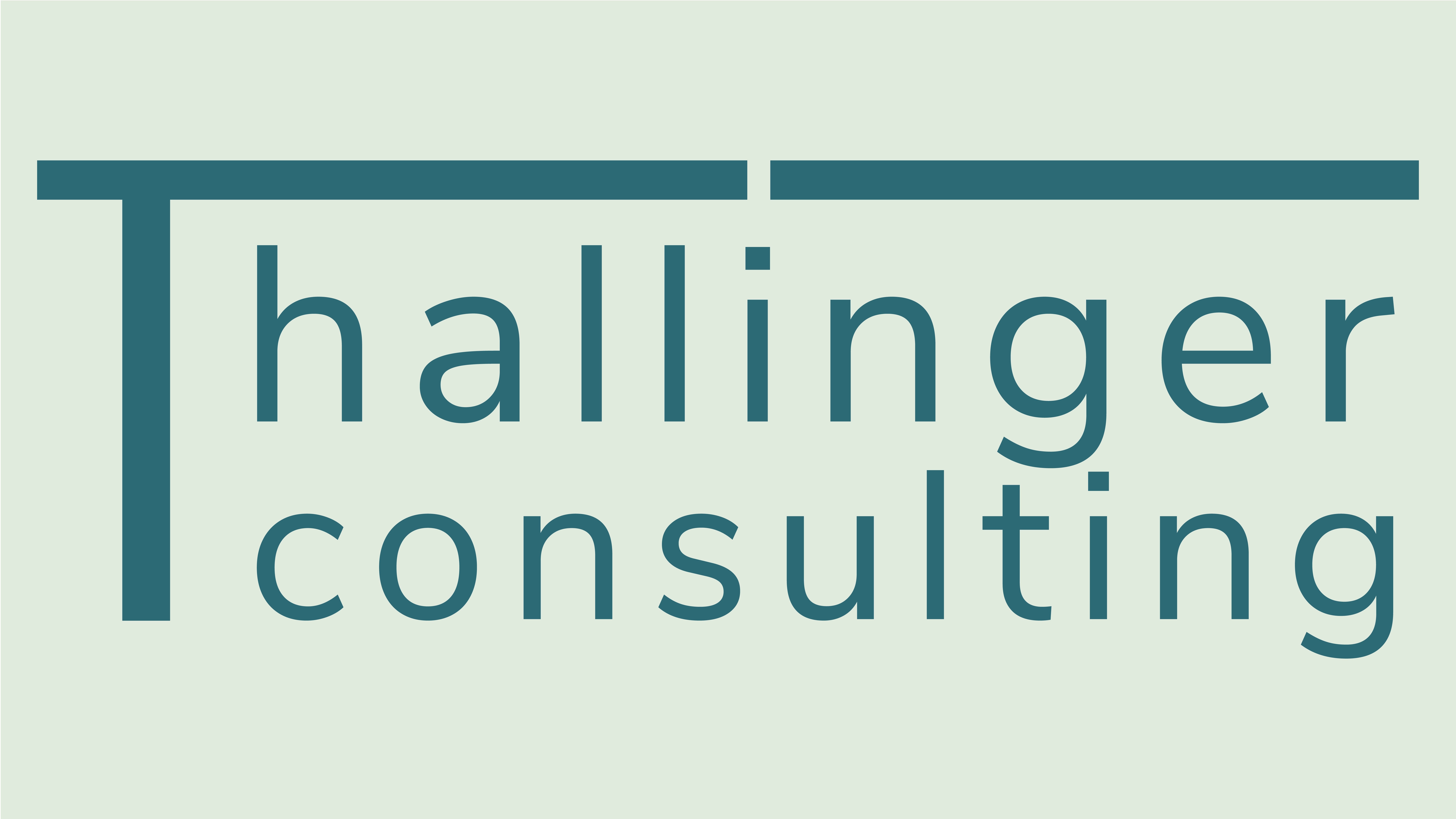 Logo Abbildung von Thallinger Consulting